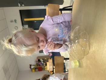 IMG_7510.jpeg