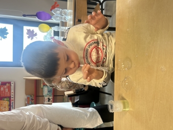 IMG_7545.jpeg