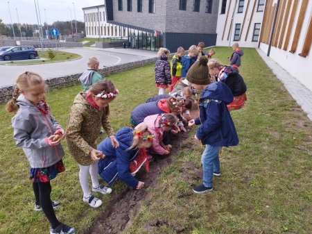 Sadzenie żonkili 19.10.2023r.